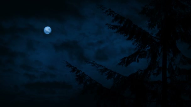 Arbre dans le vent fort le jour nuageux 