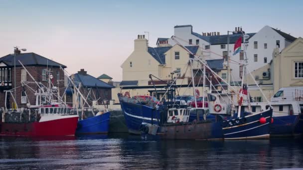 Scène Portuaire Dans Soirée — Video