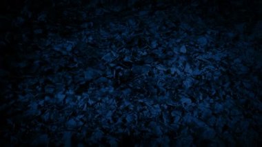 Orman yolu boyunca geceleri hareketli