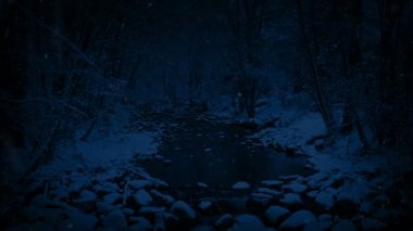 Geceleri karlı Woodland nehirde