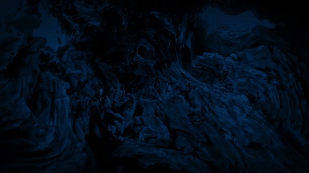 Tournant tourné à l'intérieur vieil arbre la nuit 