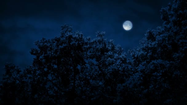 Baumwipfel Mondlicht — Stockvideo