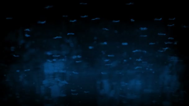 Мухи Над Поверхнею Води Вночі — стокове відео