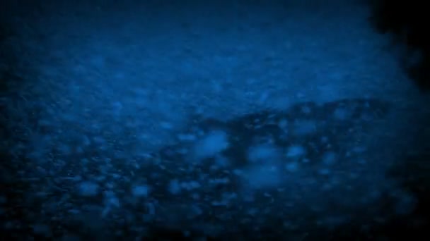 Poissons dans les eaux enragées tard dans la nuit 