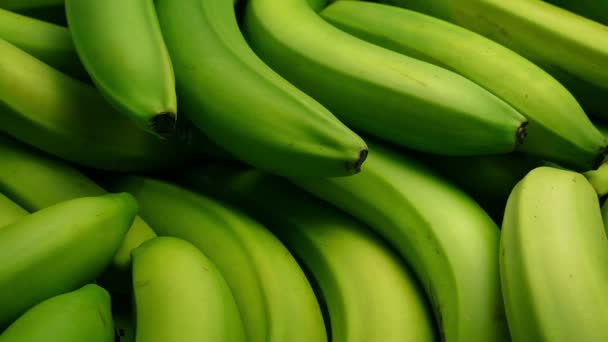 Beaucoup Bananes Vertes Gros Plan — Video