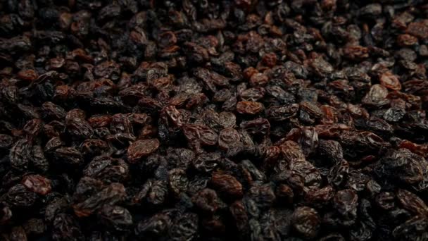 Pile Raisins Closeup — Stock Video