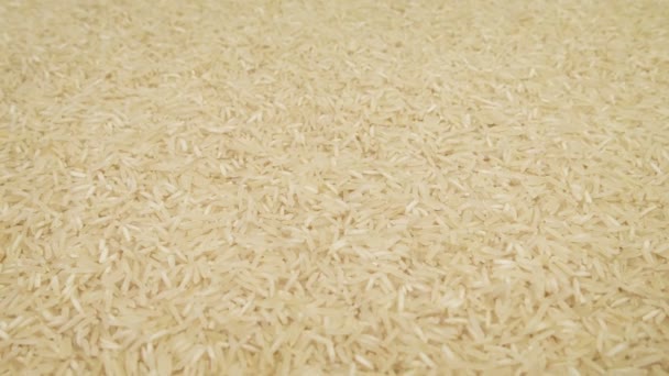 Disparo Movimiento Granos Arroz — Vídeos de Stock