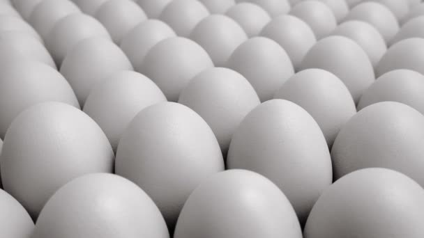 Innumerables Filas Huevos Blancos — Vídeo de stock