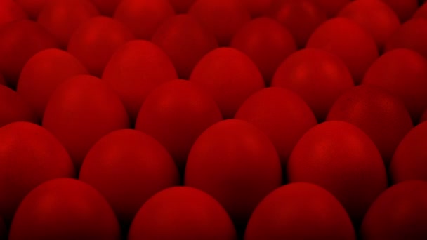 Œufs dans l'incubateur de tir en mouvement 