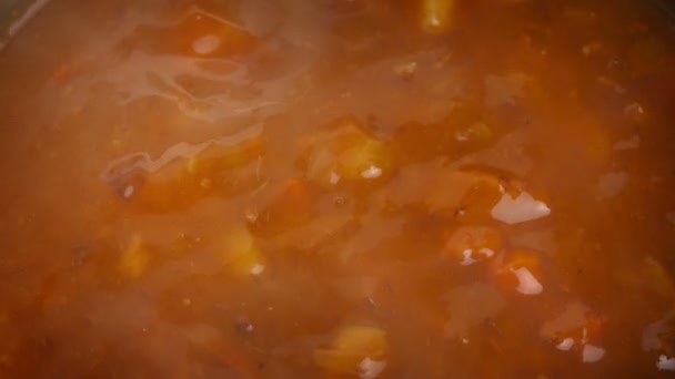 Carne Ensopado Cozinhar Closeup — Vídeo de Stock