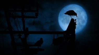 Tekne arma gece martıları tünemiş