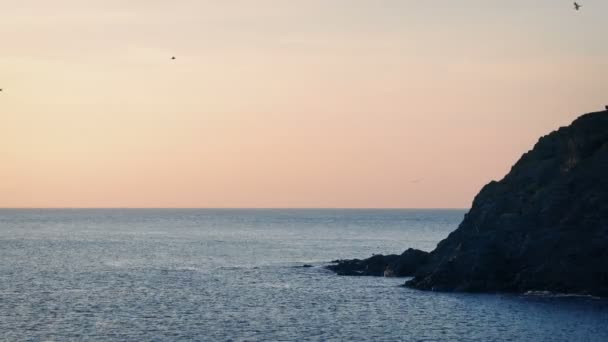 Paisaje Marino Con Aves Volando Alrededor — Vídeos de Stock