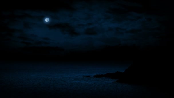 Kust Stenen Maanverlichte Nacht — Stockvideo