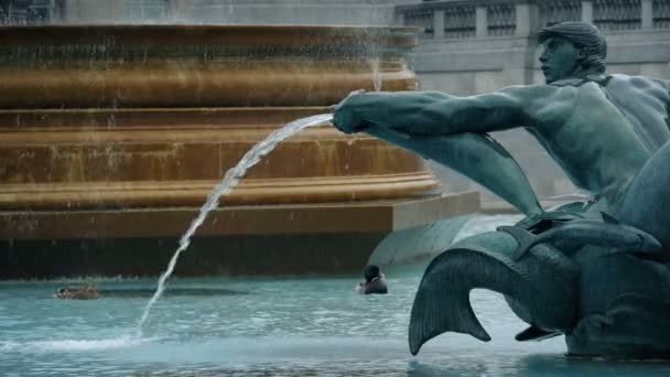 Grande Vecchia Fontana Acqua Con Anatre — Video Stock