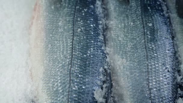 在冰上通过鱼展示 — 图库视频影像