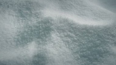 Geçen tuz kazık portre