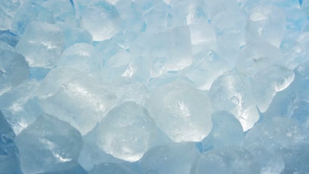 Bir Sürü Atış Izleme Buz Küpleri — Stok video