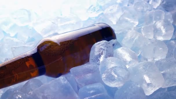 Birra Refrigerata Nelle Luci Lampeggianti Concetto Vita Notturna — Video Stock