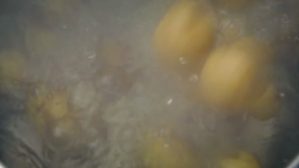 Aardappelen Pot Van Kokend Water Gegoten — Stockvideo