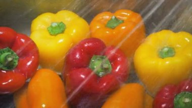 Bell Peppers Lavaboda Yıkanır