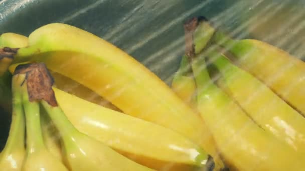 Los Plátanos Lavan Fregadero — Vídeo de stock