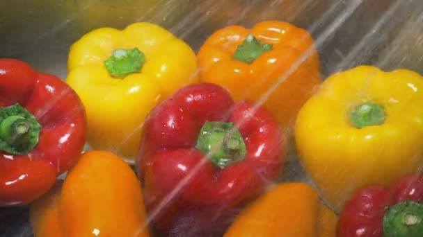 Bell Peppers Get Washed Sink — Stock Video