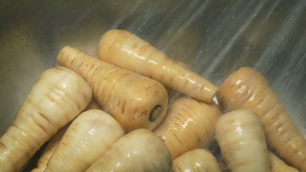 Parsnips Ser Lavado Dissipador — Vídeo de Stock