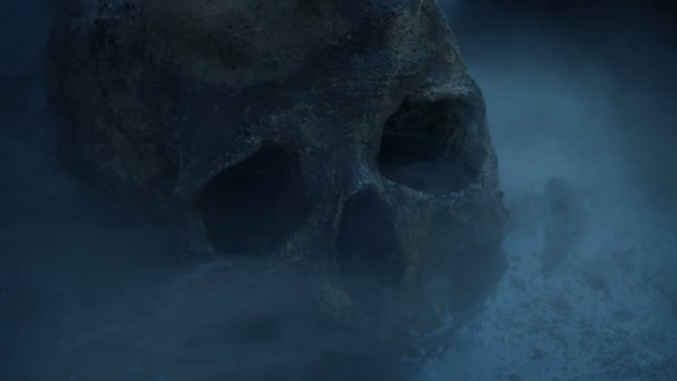 夜幕中潮湿的地面上的骷髅 — 图库视频影像