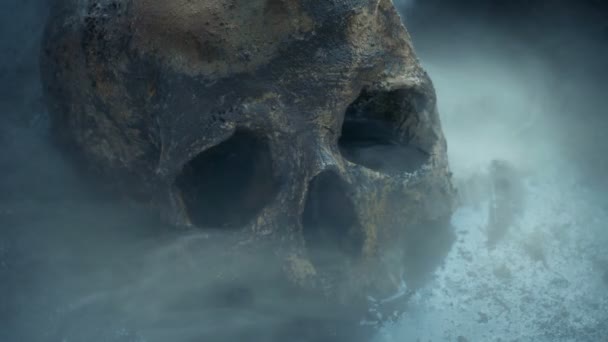 烟熏有毒的荒原上的骷髅 — 图库视频影像