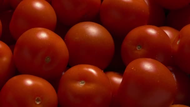 Tomatoes Kept Fresh Fine Water Spray — Stock Video