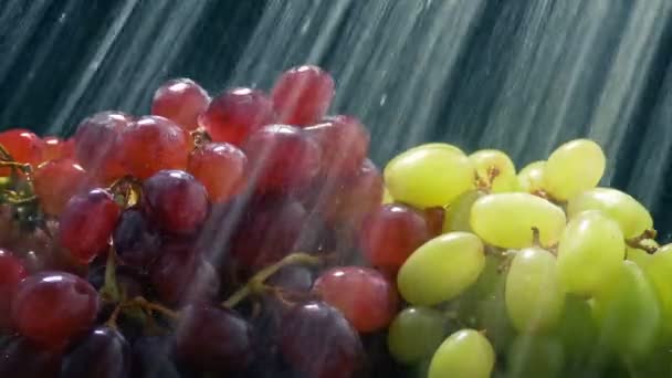 Druiven Worden Gewassen Een Waterstraal — Stockvideo