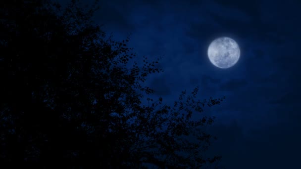 Lune au-dessus de l'arbre tard dans la nuit 
