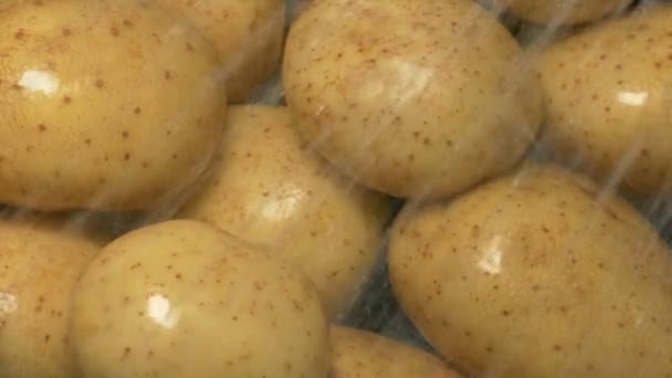 Pommes Terre Obtenir Nettoyé Dans Eau Pulvérisation — Video