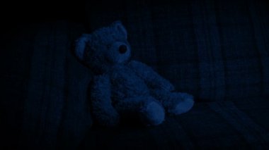 Gece Kanepede Ayıcık 'ın yanından geçiyorum