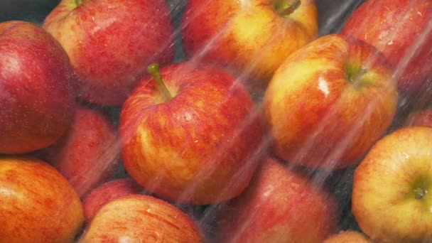 Червоні Яблука Змиваються Воді — стокове відео