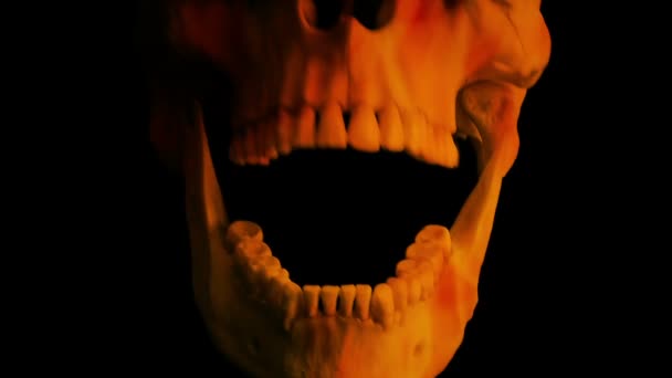 Fire Flames Skull Eats Viewer Pov — Stock Video