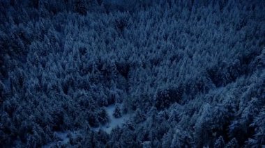 Akşamları donmuş arazinin üzerinde uçmak