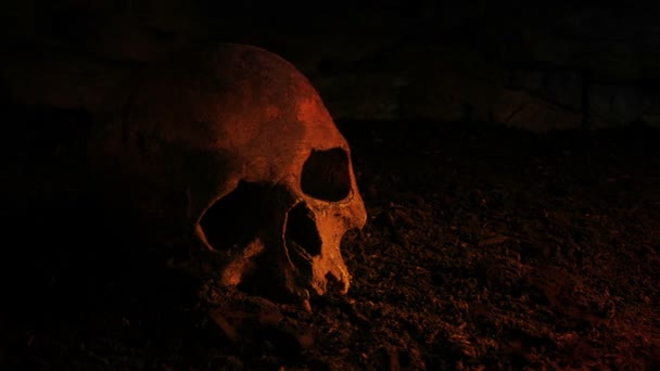 炎の中の地面に古い頭蓋骨グロー — ストック動画