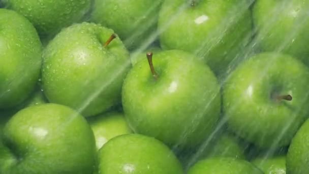 Tvätta Äpplen Högen Närbild Skott — Stockvideo