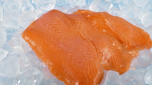 Delicious Smoked Salmon Cuts Ice — Stock Video