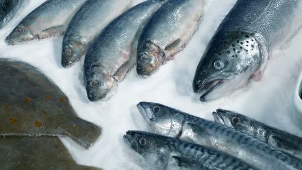 Рыболовецкие Морепродукты Распространяются Льду — стоковое видео