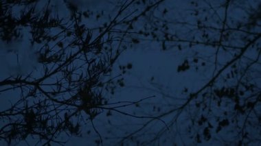 Akşamları Yağmur Dalgalanır Göl