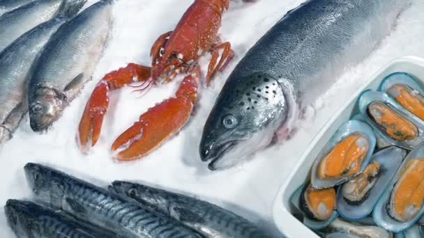 鱼和贝类在冰面上传播 — 图库视频影像