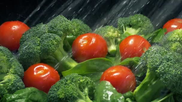 Tomaten Und Grünzeug Werden Wasserspray Gewaschen — Stockvideo