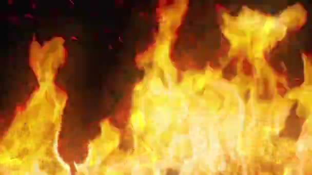 Fantasie Feuer Brennende Kristalle — Stockvideo