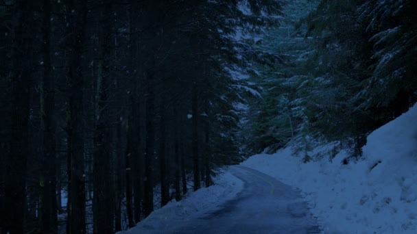 Camino Través Del Bosque Nevadas Por Noche — Vídeos de Stock