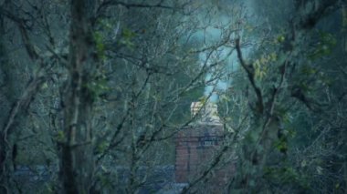 Ormanda Baca İçmek