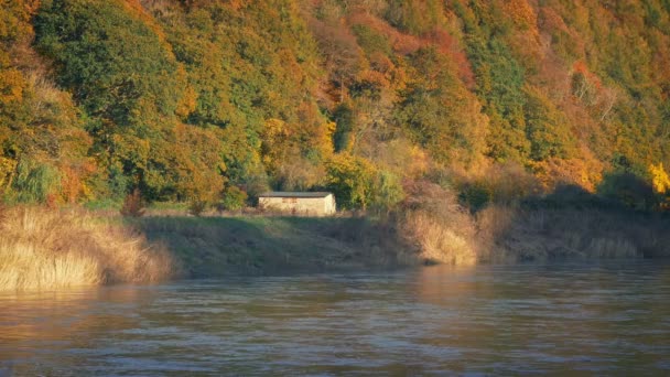 Hermosa Escena Del Río Con Colores Otoño — Vídeos de Stock