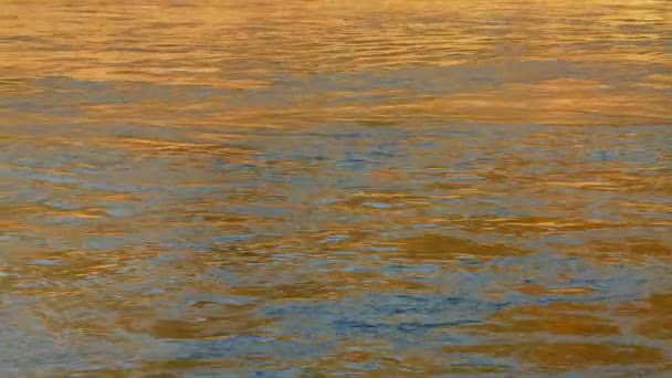 River Reflecting Gold Blue Colors — Stock Video