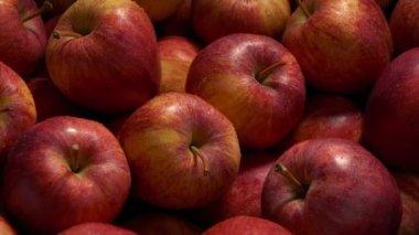 Kırmızı Elmalar Süpermarkette Taze Spreylenir